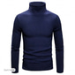 Herren Rollkragenpulli Pullover Kurzer Pullover Gerippt Stricken Normale Oberteile gestrickt Glatt Rollkragen Moderne zeitgenössische Arbeit Freizeitskleidung Bekleidung Winter Wein Schwarz S M L