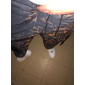 Homme Joggings Pantalon Jogger Pantalon Cordon Poches latérales Taille elastique Imprimés Photos Confort Respirable Sport extérieur Casual du quotidien Mélange de Coton Eponge Vêtement de rue Design