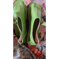 Dame Sandaler Flate sandaler Ortopediske sandaler Bunion-sandaler Store størrelser Daglig utendørs Ensfarget Spenne Flat hæl Åpen Tå Årgang Fritid PU Lær PU Spenne Blå Oransje Brun