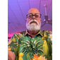 Herr Blommig Ananas Groda Skjorta Hawaii skjorta Aloha skjorta Kortärmad Skjorta Nedvikt Hawaiisk Designer Ledigt Utomhus Gata Ledigt Röd grön Olivgrön Rodnande Rosa 3D-tryck S M L