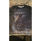 Herr Grafisk Djur Tiger T-shirt Kortärmad T-shirt 3D-tryck Rund hals Skjorta Vintage Mode Designer Utomhus Dagligen Sport Ljusgul Mörkgul Gul Vår & sommar Kläder S M L XL 2XL 3XL 4XL