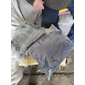 Homme Joggings Pantalon Jogging Pantalon Jogger Poche Cordon Couleur Pleine Respirable Doux Casual Athleisure Gymnastique simple Grande occasion Noir Blanche Micro-élastique