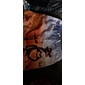 Homme Animal Crocodile Drôle Shorts de Surf Caleçons de Bain Shorts Taille Moyenne Streetwear Hawaïen Occasionnel Quotidien Fête Cordon de serrage Avec Poches Taille Élastique Designer Vêtement Tenue