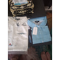 Voor heren Kokosnootboom Tropische planten Hawaiiaans overhemd Overhemd met knopen Aloha-shirt Korte mouw Hawaii Toevlucht Vakantie Feestdagen Strand Kleding Zomer Lente Strijkijzer shirts met kraag