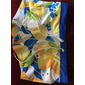Homme Fruit Ananas Citron Maillots de bain Shorts de bain Shorts de Surf Taille Moyenne Mode Designer Surf Fête Plage Cordon de serrage Avec Poches Taille Élastique Designer Vêtement Tenue