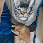 Herren Grafik Tiermotiv Katze T Shirt T-Shirt Kurzarm T-Shirt 3D-Druck Rundhalsausschnitt Hemd Vintage Mode Designer Outdoor Lässig Täglich Schwarz Gelb Orange Frühling & Sommer Bekleidung S M L XL