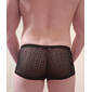 Men's 1 PCS Sexy Panties Boxers Underwear Boxer Shorts Lace Polyester Breathable Soft Comfortable Plain Mid Rise Black White