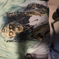 Herren Optische Täuschung Zombies 3D T Shirt Kurzarm T-Shirt 3D-Druck Rundhalsausschnitt Hemd Übertrieben Designer Horror Party Straße Ferien Gelb Blau Purpur Sommer Frühling Ganzjahres Bekleidung S